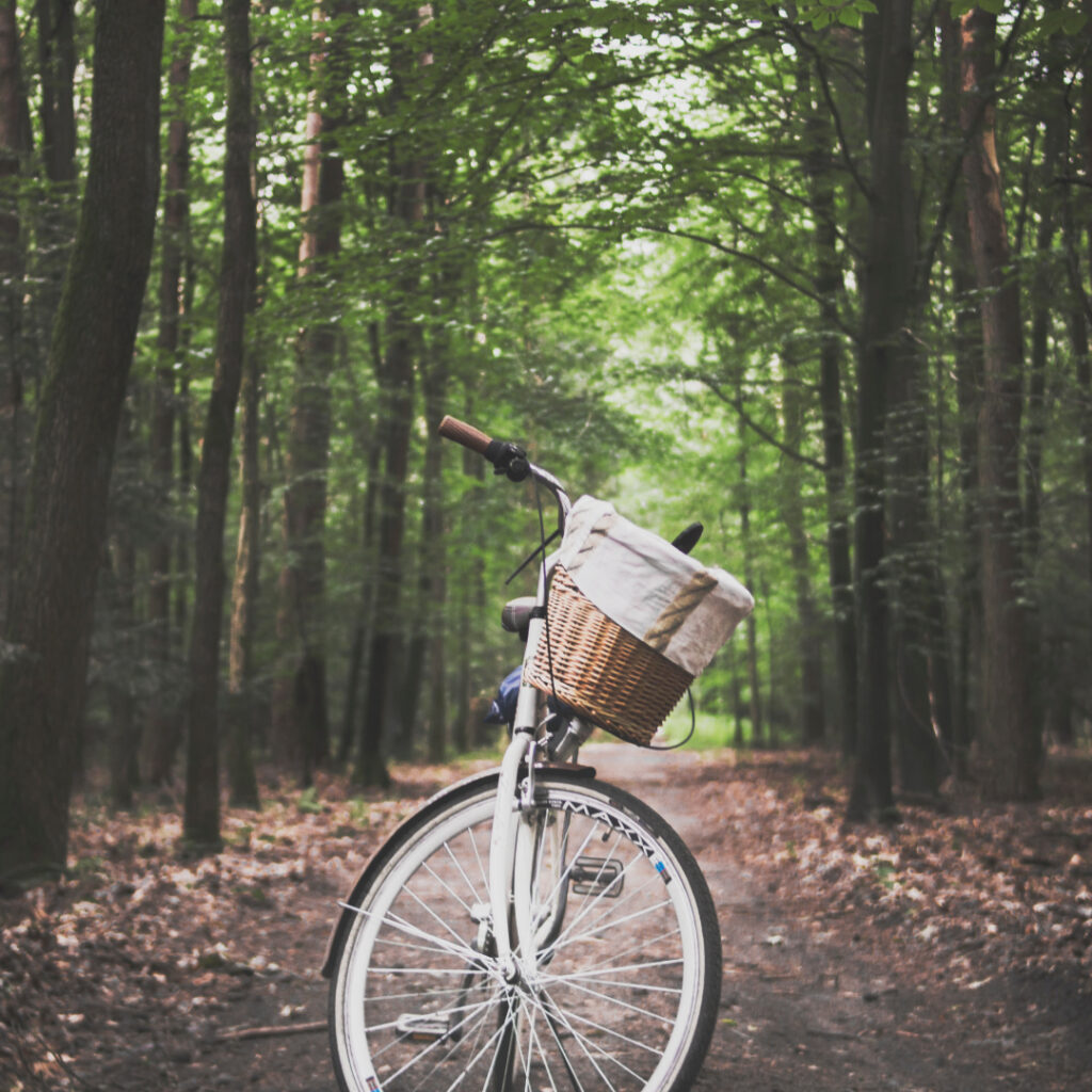 tour-dei-castelli-romani-in-bicicletta